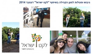 פעילות למען הקהילה - לקט ישראל  - 2014